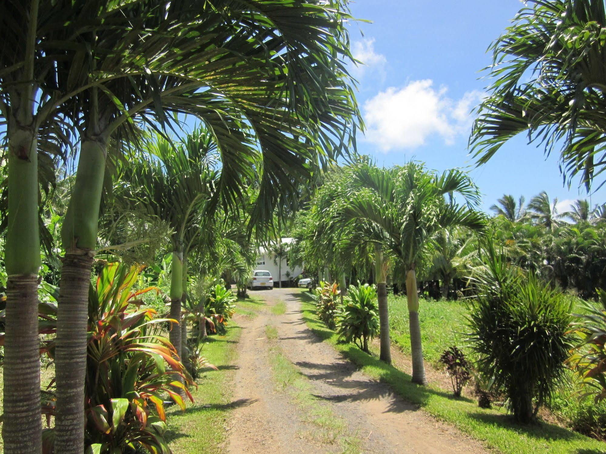 Muri Lagoon View Bungalows - Hillside Bungalow Rarotonga Dış mekan fotoğraf